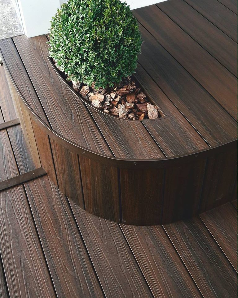 Walnut 4